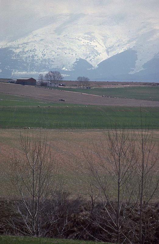WT 2300 310-25 Spain.jpg